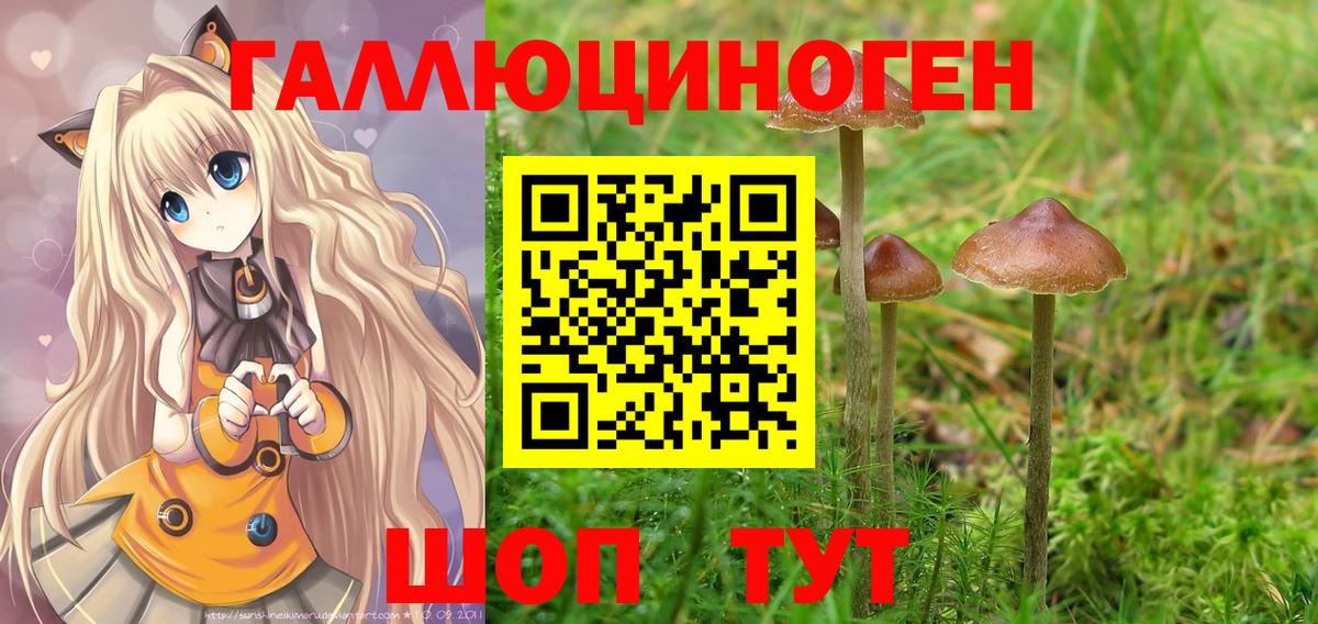 Галлюциногенные грибы Psilocybe  Вход с VPN  Медногорск 
