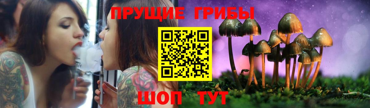 Псилоцибиновые грибы Cubensis Медногорск